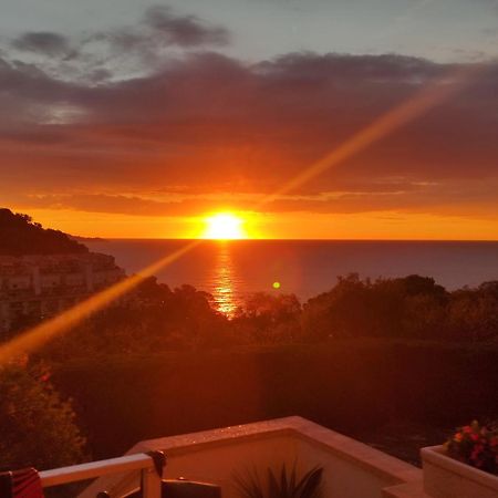 Apartamento Con Piscina - Tossa - Magnificas Vistas Al Mar ジローナ エクステリア 写真