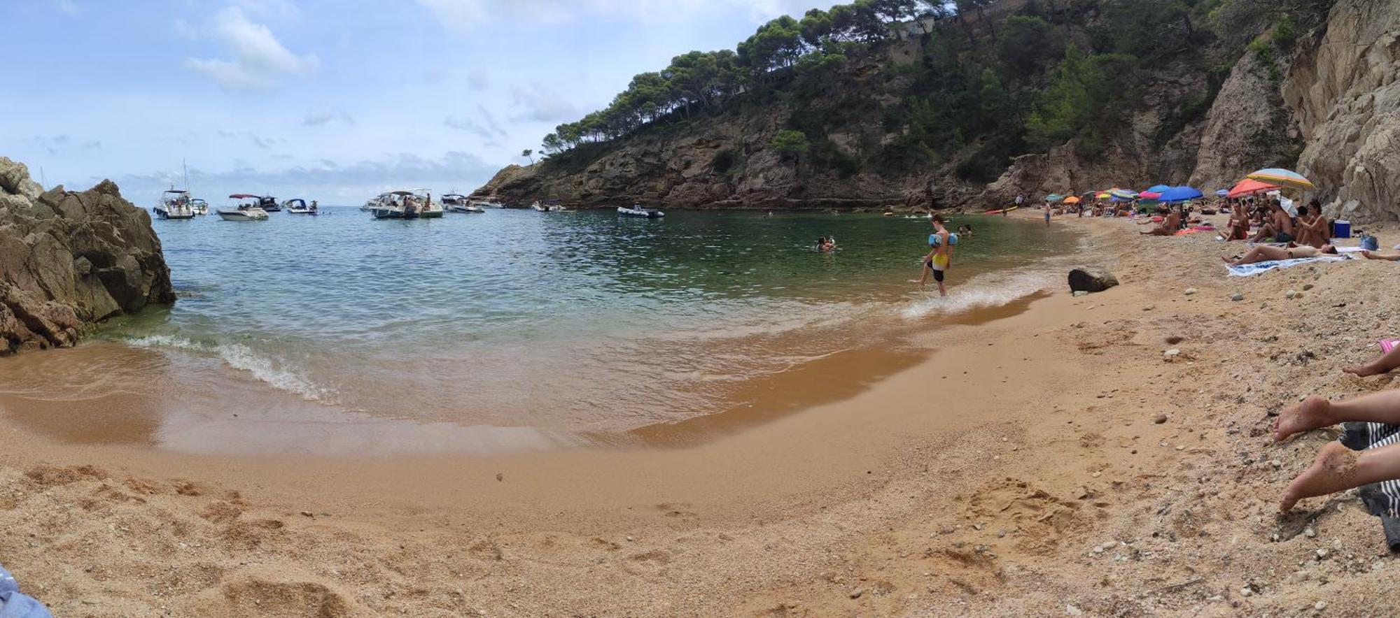 Apartamento Con Piscina - Tossa - Magnificas Vistas Al Mar ジローナ エクステリア 写真